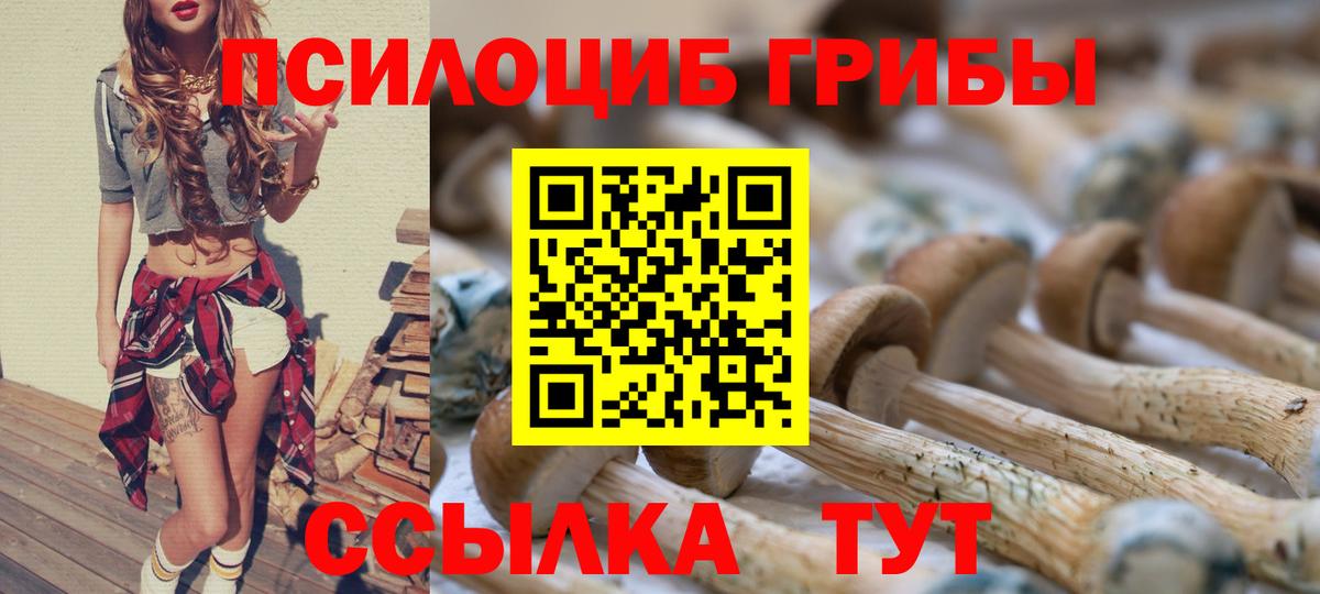 Галлюциногенные грибы Magic Shrooms Карасук
